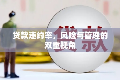 江海贷款违约率，风险与管理的双重视角