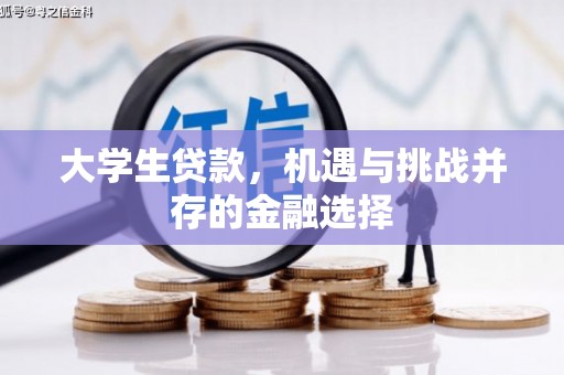 靖边大学生贷款，机遇与挑战并存的金融选择