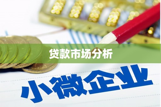 赫山贷款市场分析