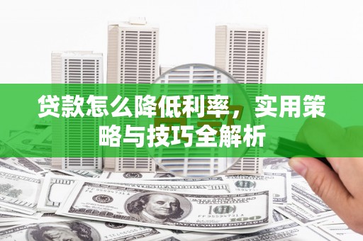 陆丰贷款怎么降低利率，实用策略与技巧全解析