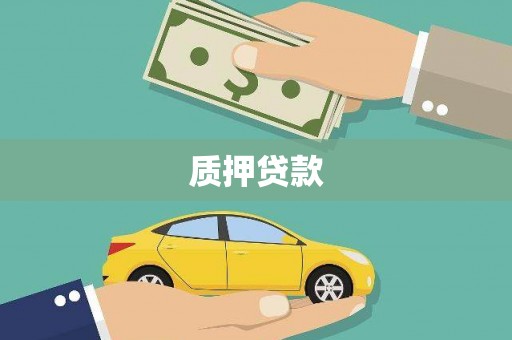 汝阳质押贷款