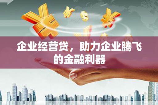 民丰企业经营贷，助力企业腾飞的金融利器