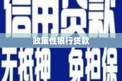 花莲政策性银行贷款