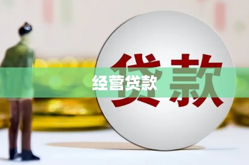 阳春经营贷款