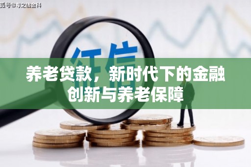 海东养老贷款，新时代下的金融创新与养老保障