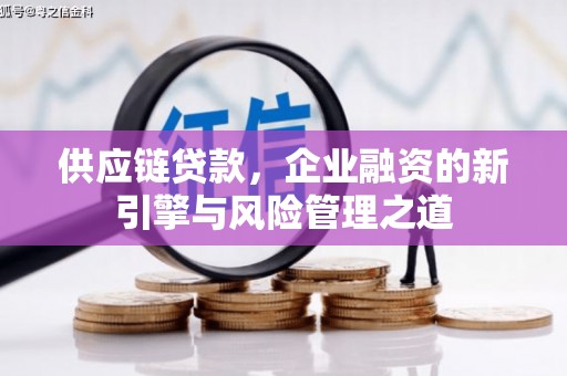 洋县供应链贷款，企业融资的新引擎与风险管理之道