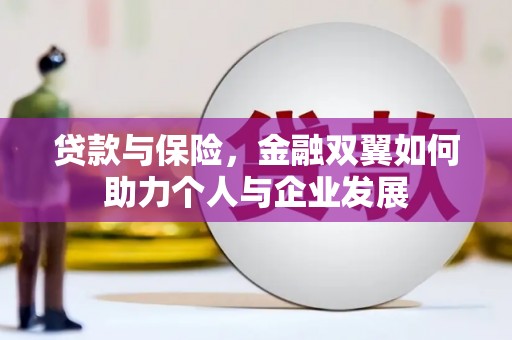 宽甸贷款与保险，金融双翼如何助力个人与企业发展