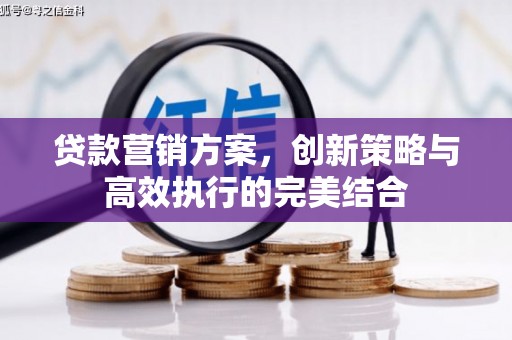 南化贷款营销方案，创新策略与高效执行的完美结合