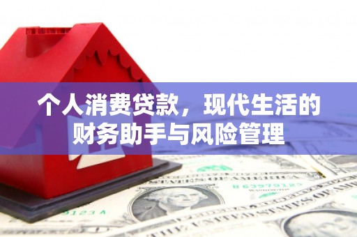 鱼台个人消费贷款，现代生活的财务助手与风险管理