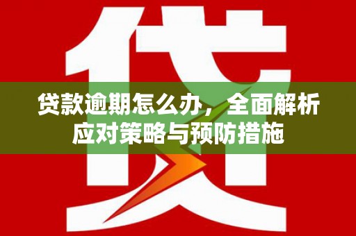 秦安贷款逾期怎么办，全面解析应对策略与预防措施