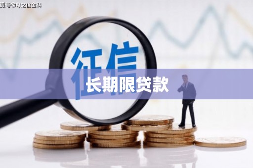 三水长期限贷款