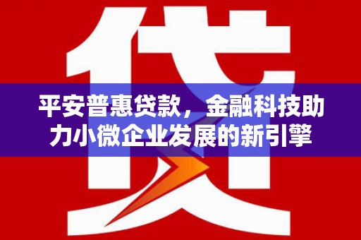 巍山平安普惠贷款，金融科技助力小微企业发展的新引擎