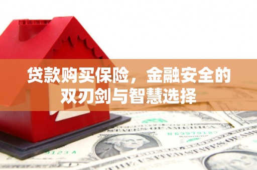 师宗贷款购买保险，金融安全的双刃剑与智慧选择