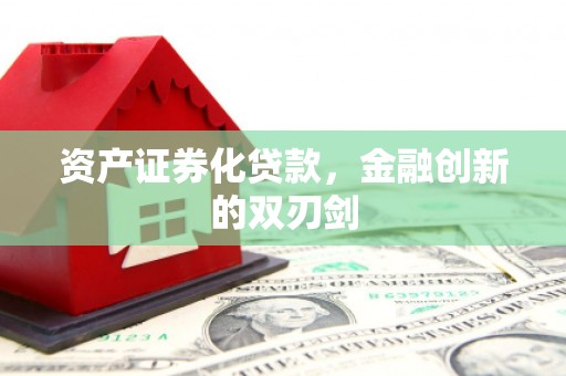 衡东资产证券化贷款，金融创新的双刃剑