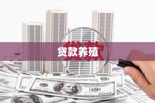 新北贷款养殖