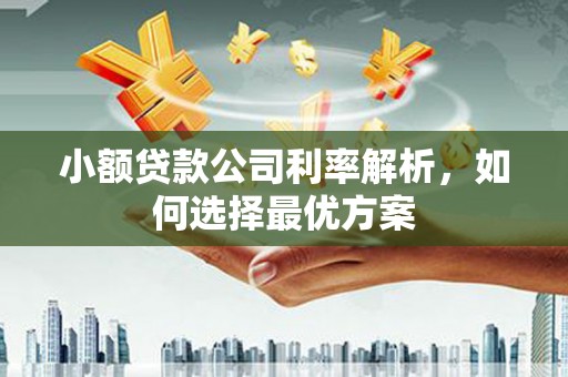 温州小额贷款公司利率解析，如何选择最优方案
