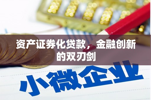 庄浪资产证券化贷款，金融创新的双刃剑