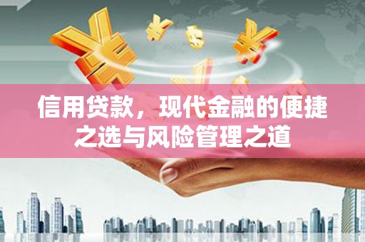 山海关信用贷款，现代金融的便捷之选与风险管理之道