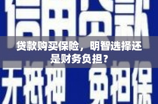 安化贷款购买保险，明智选择还是财务负担？