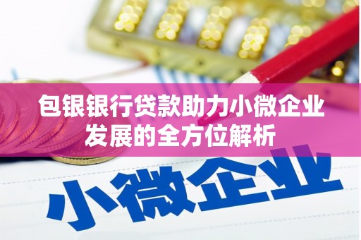 巴青包银银行贷款助力小微企业发展的全方位解析 巴青包银银行贷款助力小微企业发展的全方位解析