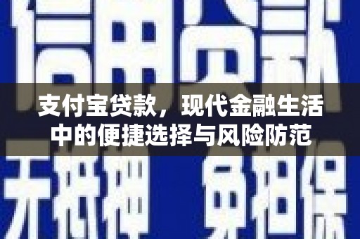巍山支付宝贷款，现代金融生活中的便捷选择与风险防范