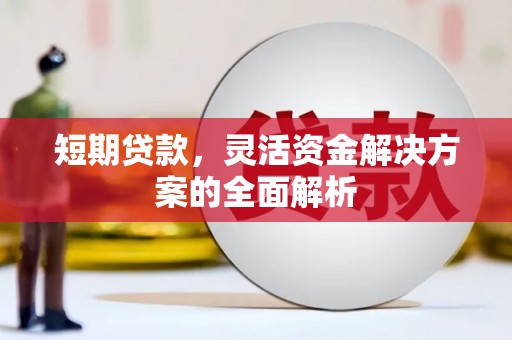 澄城短期贷款，灵活资金解决方案的全面解析