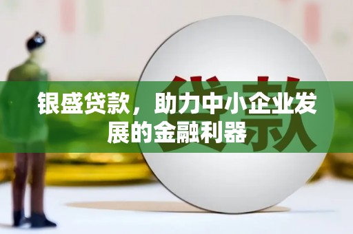 普湾新区银盛贷款，助力中小企业发展的金融利器