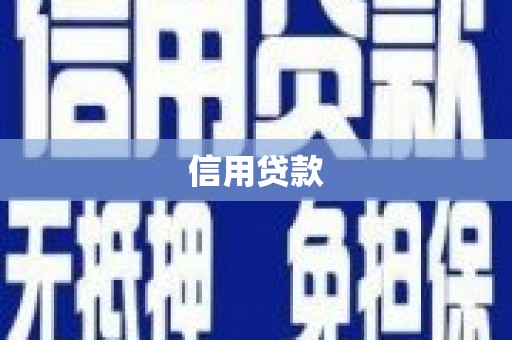 务川信用贷款