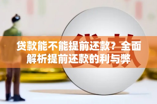 八宿贷款能不能提前还款？全面解析提前还款的利与弊
