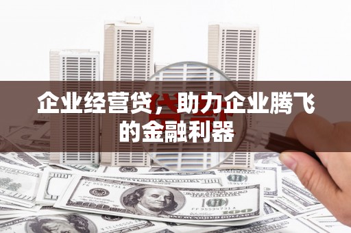 昭平企业经营贷，助力企业腾飞的金融利器
