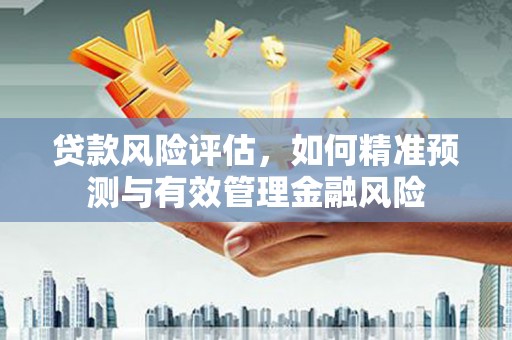 柳南贷款风险评估，如何精准预测与有效管理金融风险