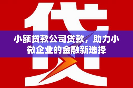 芦洲小额贷款公司贷款，助力小微企业的金融新选择