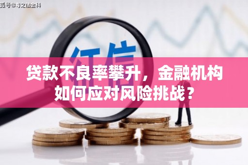 邛崃贷款不良率攀升，金融机构如何应对风险挑战？
