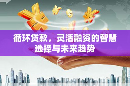 天等循环贷款，灵活融资的智慧选择与未来趋势