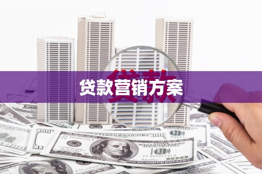 德宏贷款营销方案