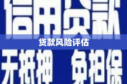 桃城贷款风险评估