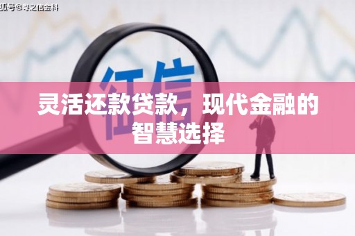 新蔡灵活还款贷款，现代金融的智慧选择
