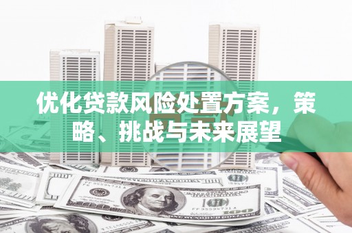 福山优化贷款风险处置方案，策略、挑战与未来展望