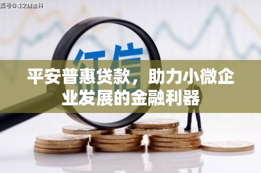 孙吴平安普惠贷款，助力小微企业发展的金融利器