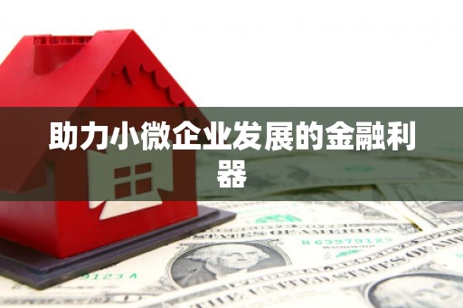 秀洲助力小微企业发展的金融利器