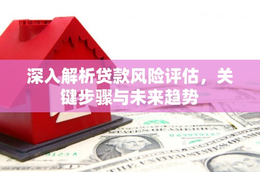 保税区深入解析贷款风险评估，关键步骤与未来趋势