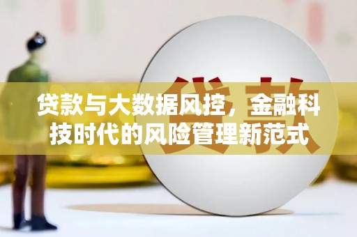 港南贷款与大数据风控，金融科技时代的风险管理新范式