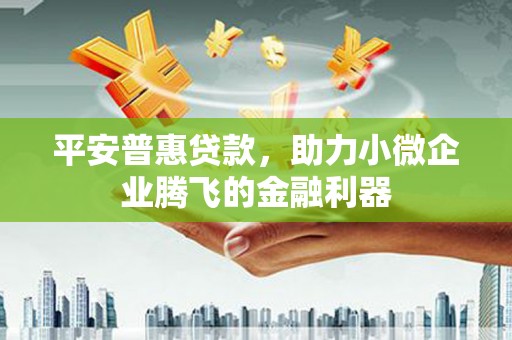 安远平安普惠贷款，助力小微企业腾飞的金融利器