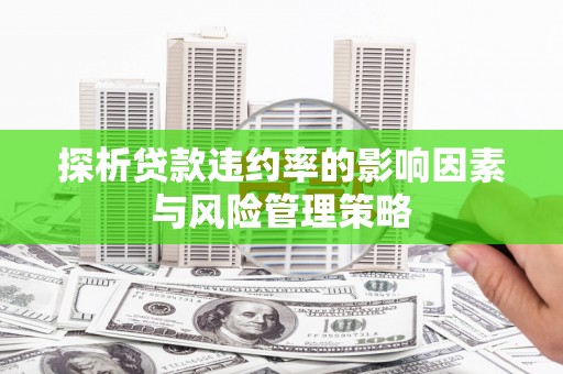阳春探析贷款违约率的影响因素与风险管理策略