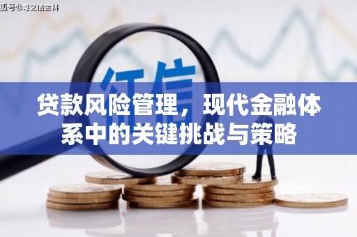 樊城贷款风险管理，现代金融体系中的关键挑战与策略