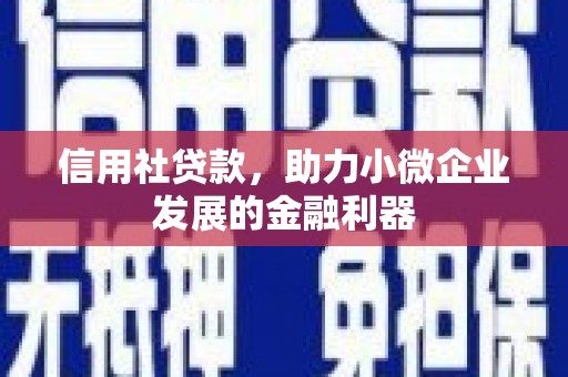 屯门信用社贷款，助力小微企业发展的金融利器