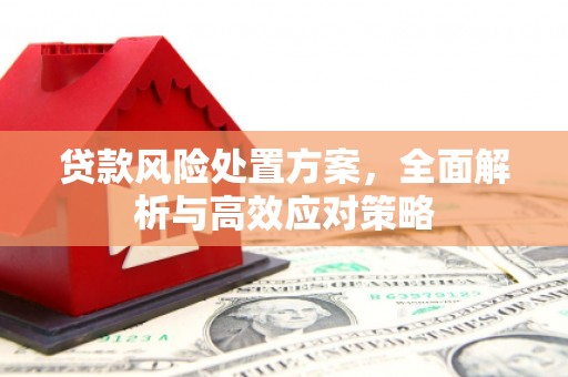 衢州贷款风险处置方案，全面解析与高效应对策略