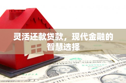 临湘灵活还款贷款，现代金融的智慧选择