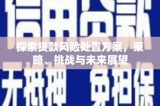 沁县探索贷款风险处置方案，策略、挑战与未来展望