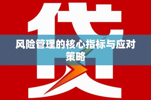 民雄风险管理的核心指标与应对策略